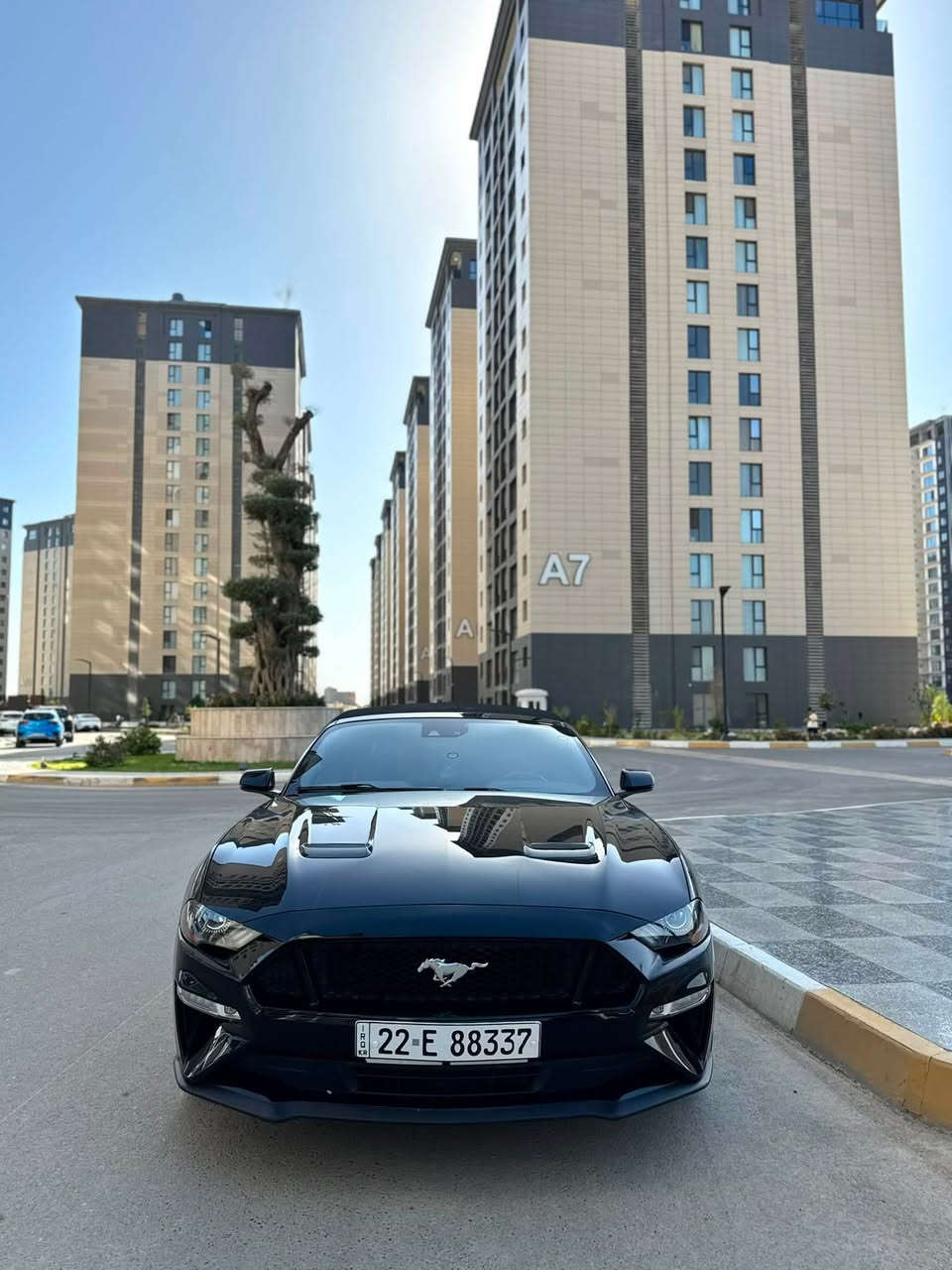 2021 gt فورد موستانك
فول  مواصفات1/1  للاخير   دجتال  داخل جلد   اكتف   ترحيب  شكو مواصفات بالموستنك موجودة بيها  و  قطعة واحد صبغ  فقط بدوون ايرباك السيارة 
   (نص جاملغ خلفي  الصبغ )
ماشية 35  الف  ميل فقط . ‎السياره كلها بلادية
عليها  هوائيات  وبرمجة  من عمان مو بالعراق برمجتها  وكلش قوية و معروفة بنظافتها .وبيها كواتم اكتف  تطفي من يمك الصوت  الاصلي مو مال بغداد.
حادثها موضح بالصور  بدون لغد بدون شاصي   بجم  كبس  علما  ان البوب راجعة وكالة نفس اللون    بدون صبغ  فقط الجاملغ  خلفي نصة مصبوغ   فقط  بدون دواخل ومحرك وتبريد وصدر  مكفولات وجديدات  رقمها اربيل  هزة  جديدة وسنوية   تحويل مباشر مني  ورقم   جديد لل2030 والسيارة   سعرها 210  ورقة وبيها مجال بسيط   نزلت  سعرها   مراعاة  للسوك  والوضع   والسيارة نظيفة و متعوب عليها  متتقارن بالمهجومات 🖤

*********** سجاد الخفاجي  مكاني زيونة او يرموك
