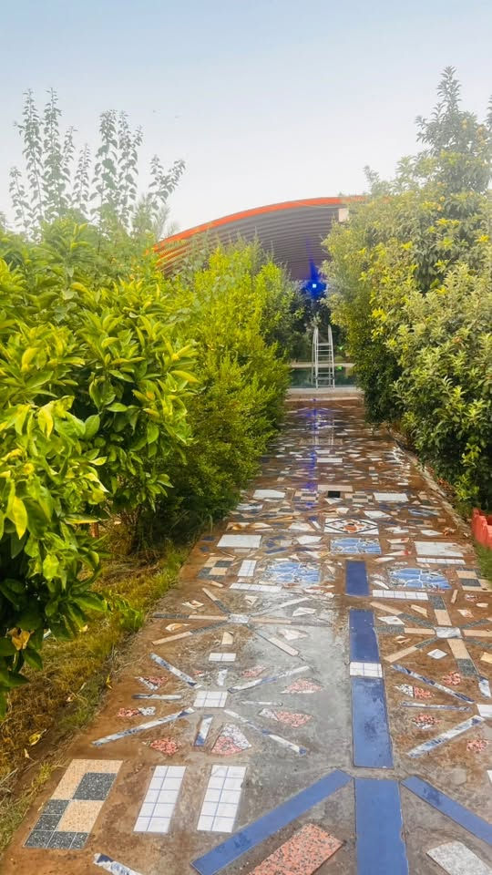 تحتوي على
بيت مؤثث كامل 2 غرف نوم🎪🏡🏠

صالة كبيرة🏠

مطبخ جاهز مع الأواني 

مسبح كبير 🛝🌊

مسبح صغير الأطفال 🏖  

حديقه  🏕

مكان للشواء 🔥🔥🔥

يتوفر كهرباء على مدار24ساعه 🚥🚥

كراج للسيارات 🚙🛻

ألعاب 

بليارد 🎱 

فيشة 🎖

الاتاجير نهاري وليلي ويوجد مبيت 🌕☀️🌛🌛

المكان صلاح الدين. قضاء بلد 

🛑🛑

(علمآ المزرعة موثوقة بتطبيق اجرلي)

للحجز الأتصال 

***********

 متوفر واتساب ايضا
