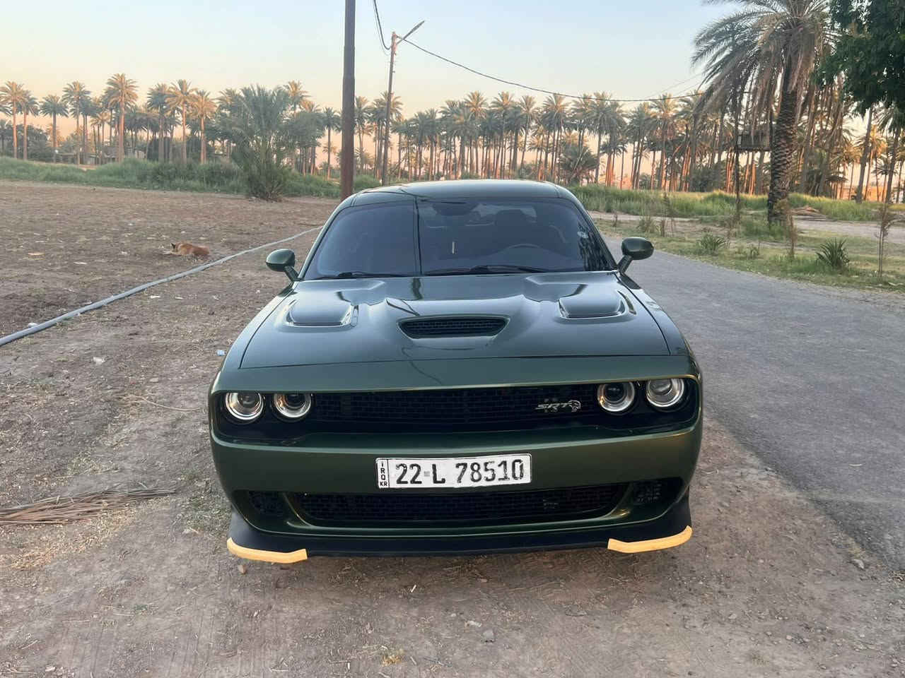 ‏جالنجر gt موديل ٢٠٢١
‏المواصفات معروفة تدفئة كشنات ستيرن 
‏تحكمات ستيرن جهتين امامي خلفي 
‏شفتات 
‏شاشة كار بلي ابل بلي 
‏كشن سايق كهرباء 
‏لايت زينون
‏فور ويل مبرمجة تو ويل اتريد تبقة تريد ترجع هذا تابع الك 
‏كشنات جلد 
‏تبريد كير مكينة اكسل كلة مكفول بحلة ممتازة 
‏رقم اربيل 
‏السيارة بسمي تحويل مباشر 
‏صور الحدث موضحة بدوك كص لا شاصي ولا لغد 
‏السيارة خير من الله سبب البيع اريد رام او فور f150 
‏للعندة مراوس 
‏السعر ١٨٥ واليشوفة هواي الله يرزقة بالاحسن منة 
‏مكاني بغداد ااسيدية 
‏‪***********‬
