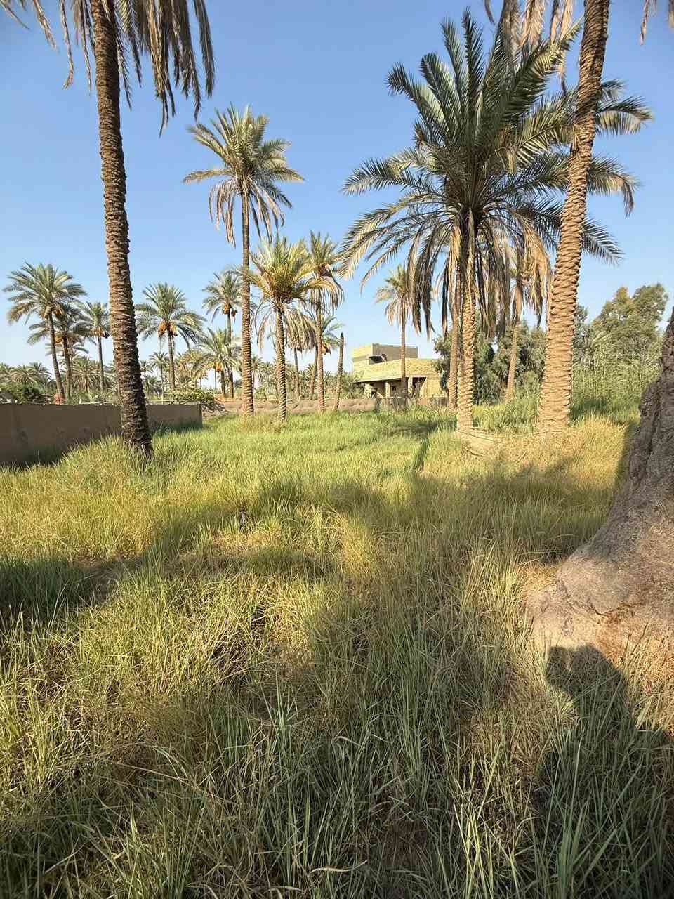 قطعه ارض للبيع العنوان كربلاء طويريج خلف البانزين خانه مال ابو جوعانه سند ٢٥  المساحه ١٣٤٠متر (واجهيه٢٠م*نزال٦٧م) للأستفسار الاتصال على الرقم التالي *********** رجاً الموشراي لايتعبني
