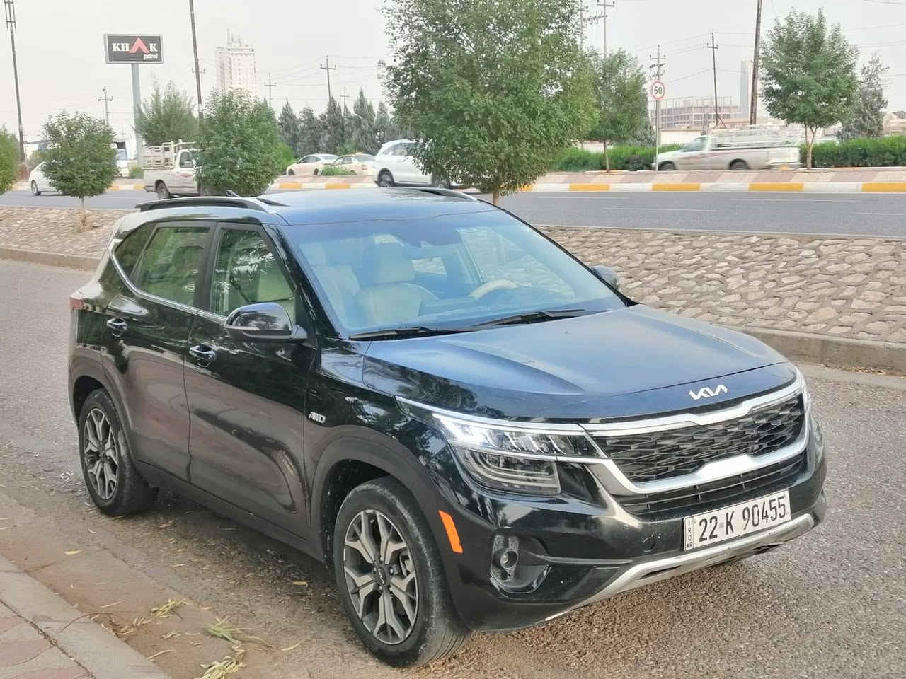 سيلتوز ٢٠٢٢ • وارد أمريكي • بدون صبغ
