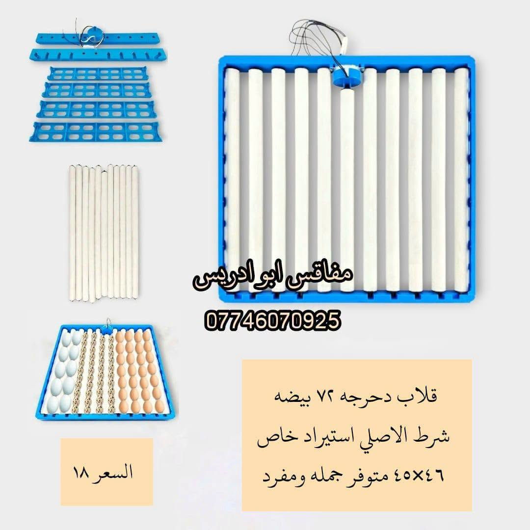 فقاس • ٦٠ بيضة • ٧٢ بيضة