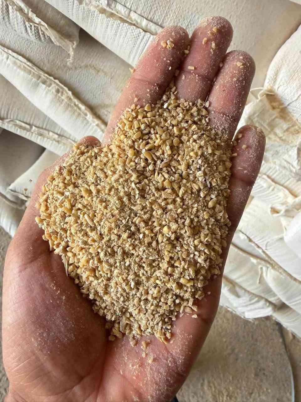 🌾 نوفر لكم أجود أنواع الأعلاف والحبوب بأفضل جودة وأسعار منافسة

متوفر لدينا:
✅ فول الصويا
✅ الذرة
✅ الحنطة المجروشة
✅ الشعير

📞 للاستفسار والطلب:
***********
***********

📍 العنوان:
بابل – الطريق السريع الدولي – جسر مشروع المسيب.

الجودة التي تثق بها… والتعامل الذي تستحقه.
