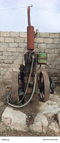 لستر • نضيف • معمرة
