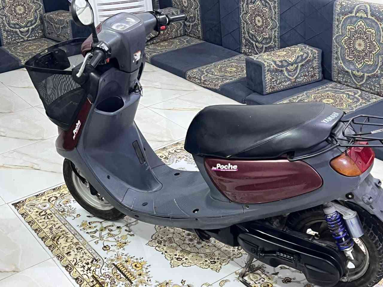 منغولي • سلف • كهربايات كاملة