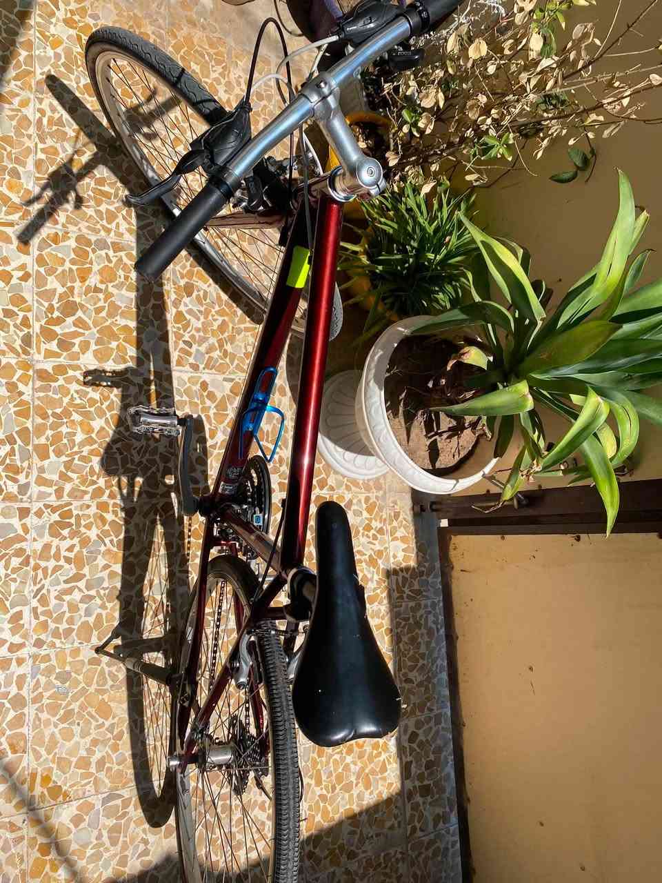 السلام عليكم
c700 سباق

46CM

مكينه 8خلفي '3 امامي كلو شغال 

شرط بل معدل فول

معدن المنيوم 

والماشه المنيوم 

دراجه خفيفه بشكل 

تايرات زينهه 

جوابه زينه

كلو جديد تجي تشوفها احلا من صور سعرها 125 

*********** واتساب متواجد فيس متواجد
