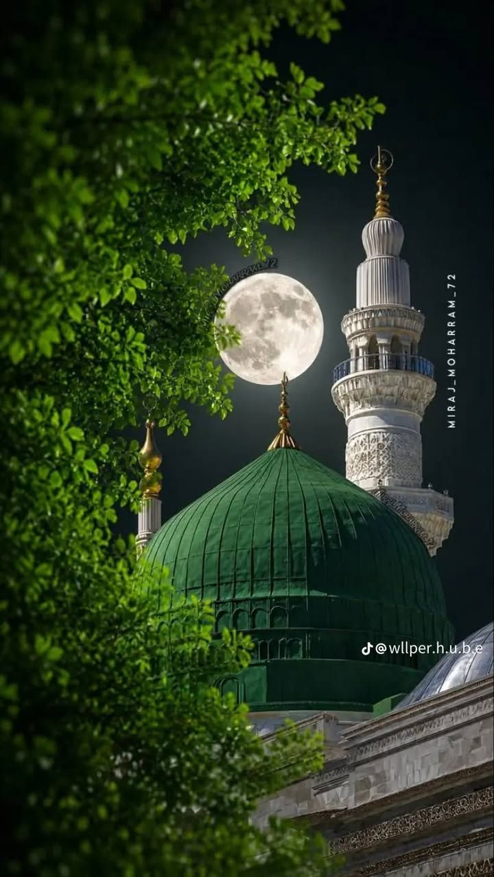 🕋 عمرة يوم ١٠/١٠ 🕋
✨ برنامج اقتصادي ✨
🔹 البرنامج يشمل:
1️⃣ ليلة في استراحة حائل مع وجبة طعام
2️⃣ ليلتان في المدينة المنورة
3️⃣ 6 ليالي في مكة المكرمة
🏨 فندق أركان بكة
💰 بسعر 345 دولار فقط
🎁 الهدايا:
• إحرام رجالي وشاح نسائي حقيبة كتف . باج تعريفي
📖 مع إرشاد ديني وجولة لجميع المزارات
📞 للحجز والاستفسار:
المتعهد: يوسف المعضادي
📱 ***********
📍 العنوان:
الأنبار – الرمادي
مكتبة الرسالة – حي التأميم

نص مكتوب في الصور:
- @wllper.h.u.b.e
- MIRAJ_MOHARRAM_72