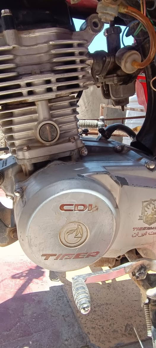 دراجه حربي مكينه 19 نظيفه مثل ما موضح بالصور شلعه معدل وياله جدد ما بيها اي نقص السعر 250 أمانة الله يرتاح راسك من العطلات المكان بابل طريق القاسم منطقة هوى الشام موجود خاص واتصال ***********
