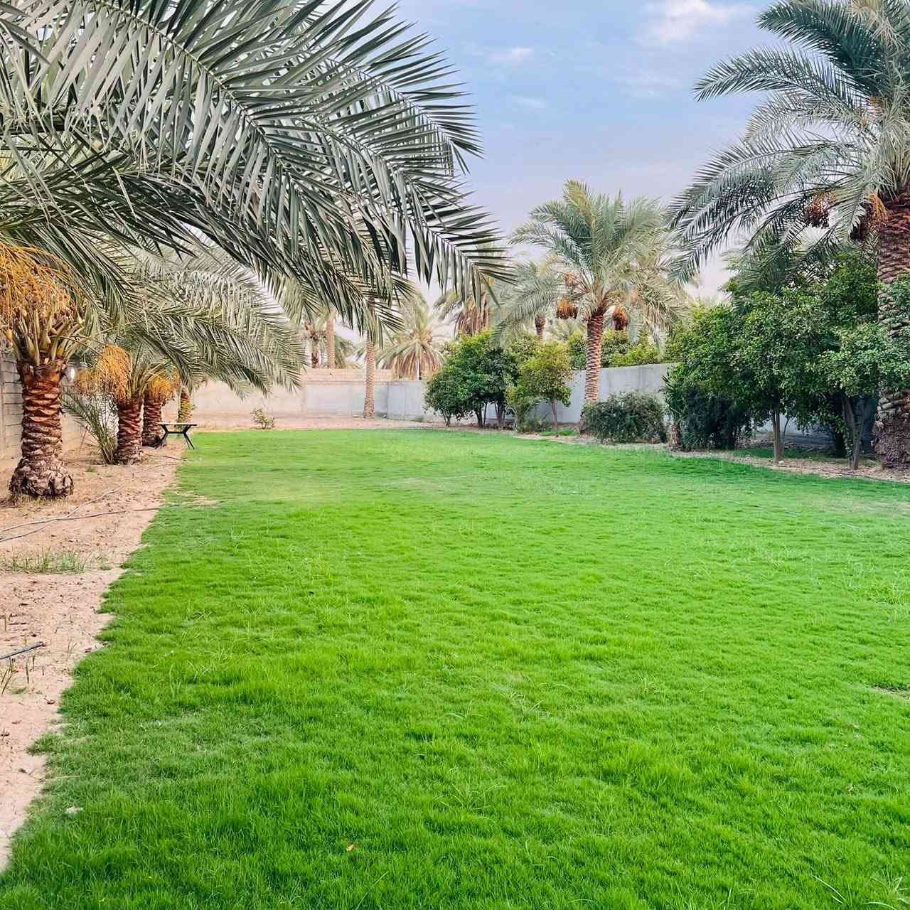 نص دونم • الجعارة • مخدوم