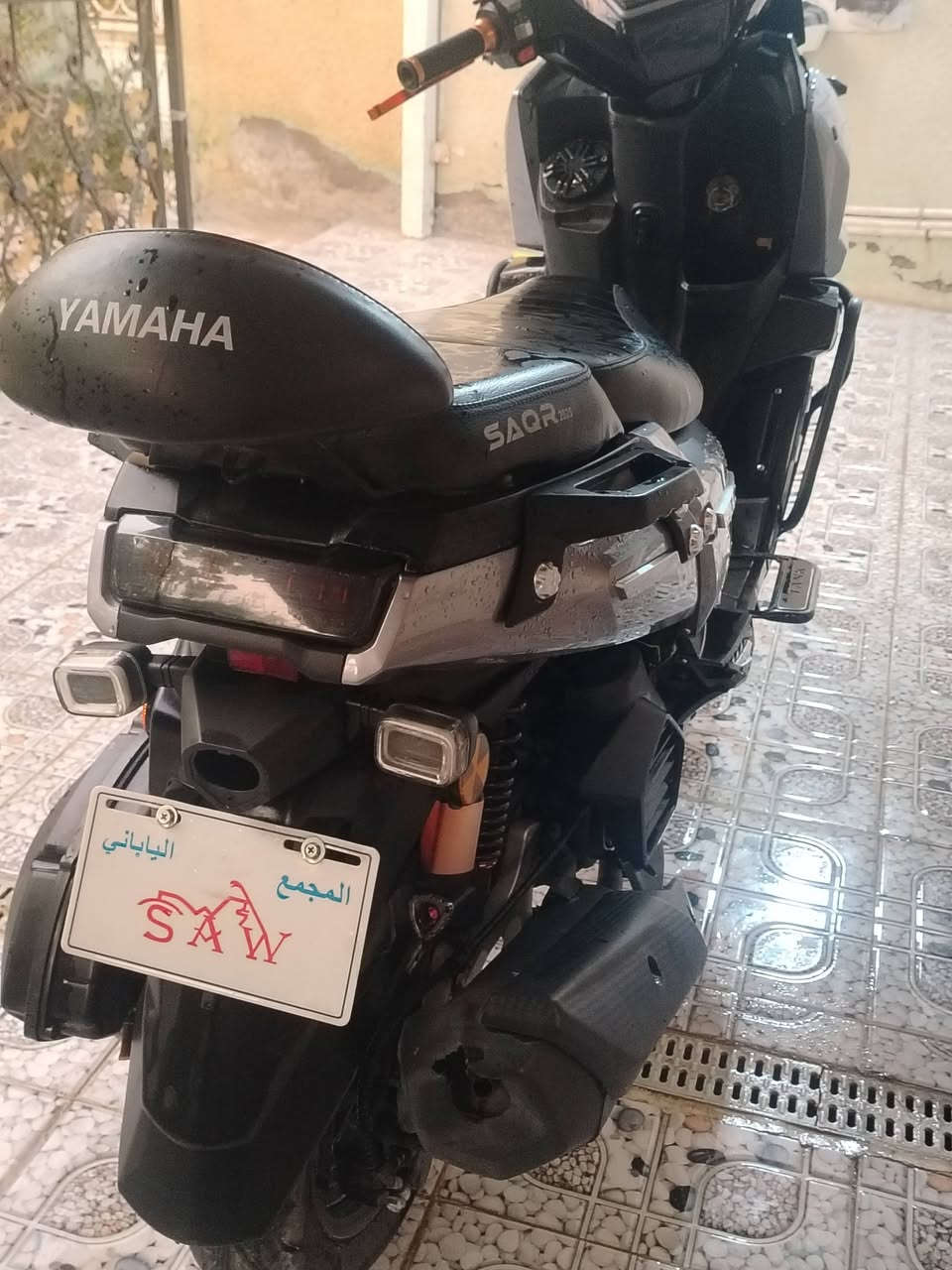 تاينك • جبلي • ٢٠٠٠