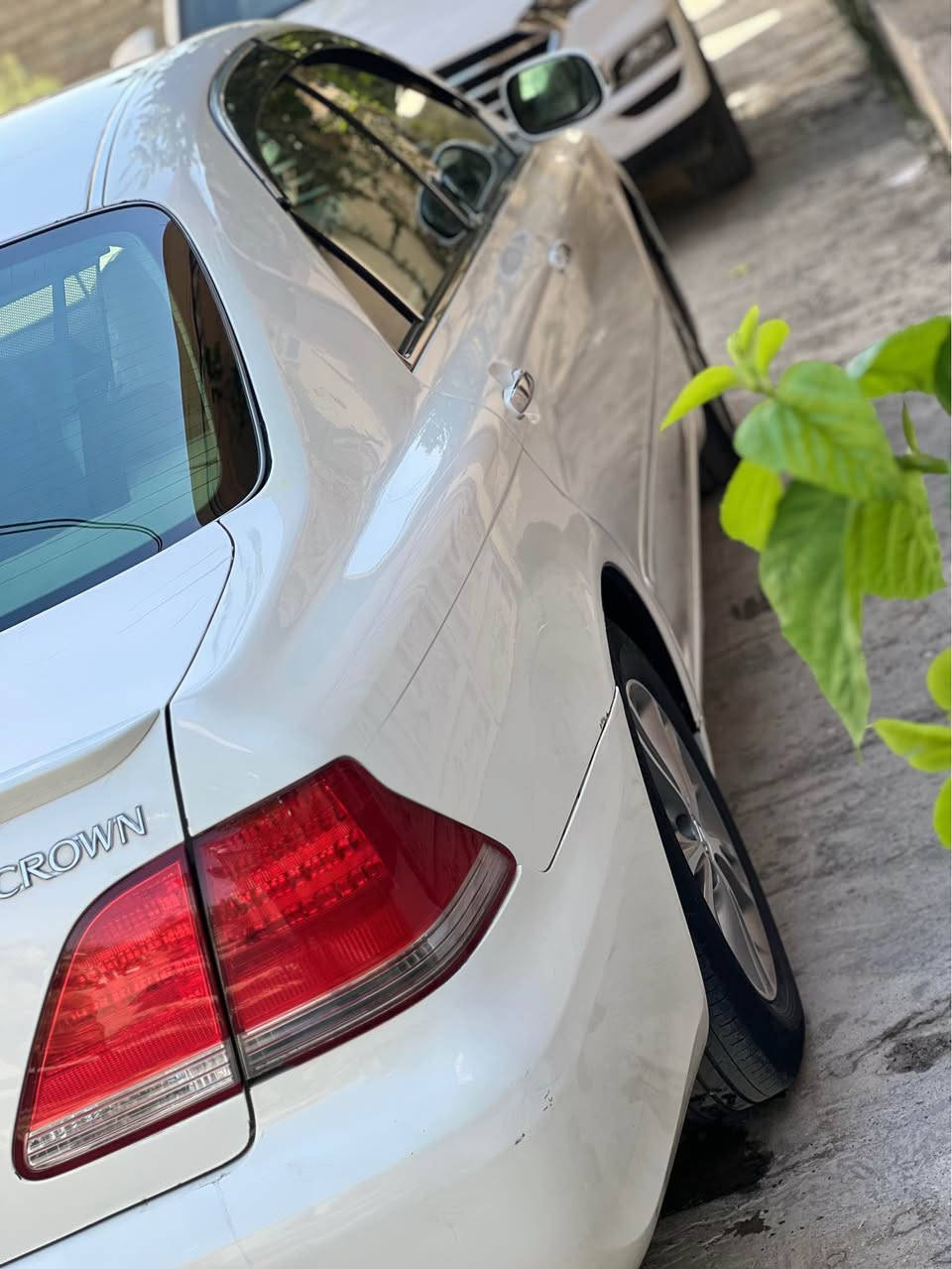شاهینە 2005ڕۆیاڵ 182 بڕاوە
جڵد و هیتەر و سەلاجە و پەردە واتە ٣دوگمە
کامل جایزە بۆ ٢٥٠ مەسرەف مەگەڕێ مەجموحە لێکزز 
شوێن قەڵادزێ سعریشی ٥٥$  ڕەقەم تەلەفون هەموو شتێکی لەسەرە *********** بشدار, السليمانية

