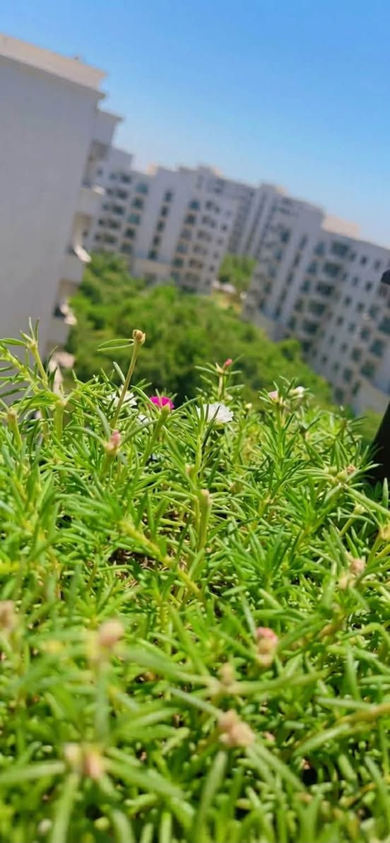 شقة للبيع في مجمع اليمامة السكني حي العدل 
مجمع متكامل من ناحية الخدماء وكهرباء علة مدار24 ساعة 
الشقة متكاملة من ناحية المطبخ والصحيات 
مساحة 129 متر
طابق 6 
اطلالة علسنتر 
للاستفسار الاتصال بلرقم 
***********
