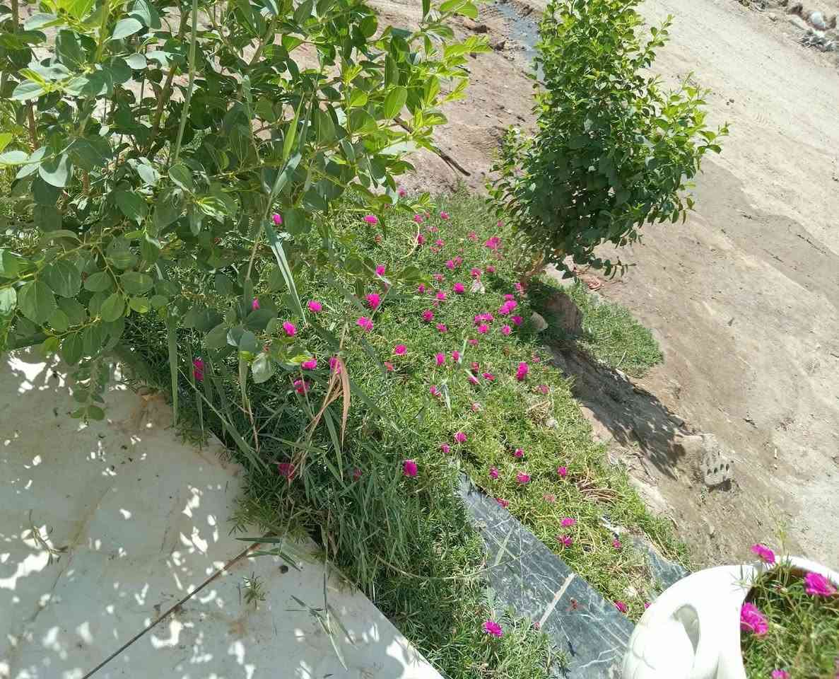 🏠 يا الله بيت للبيع 🏠
📐 المساحة: 50 متر 📜 طابو صرف 🛏️ غرفة نوم 🛋️ صالة 🍳 مطبخ 🛋️ استقبال 🚿 صحيات
📍 كربلاء المقدسة – قضاء الحسينية – حي الزهراء
للاستفسار والتفاصيل 📞 *********** 📲 واتساب متوفر
نستقبل كافة العروض للبيع وشراء العقار في كربلاء قضاء الحسينية 🤝
