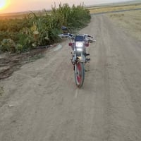 تايگر • موطور • ٢٠٢٠
