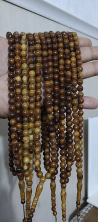نارجيل شجري • موديل ١٠١