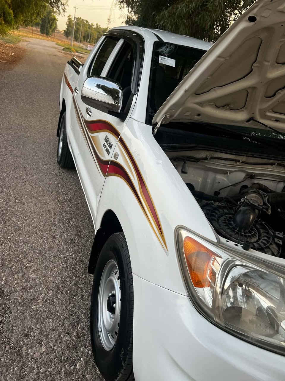 فلاحي • ٢٠٠٨ • بدون صبغ