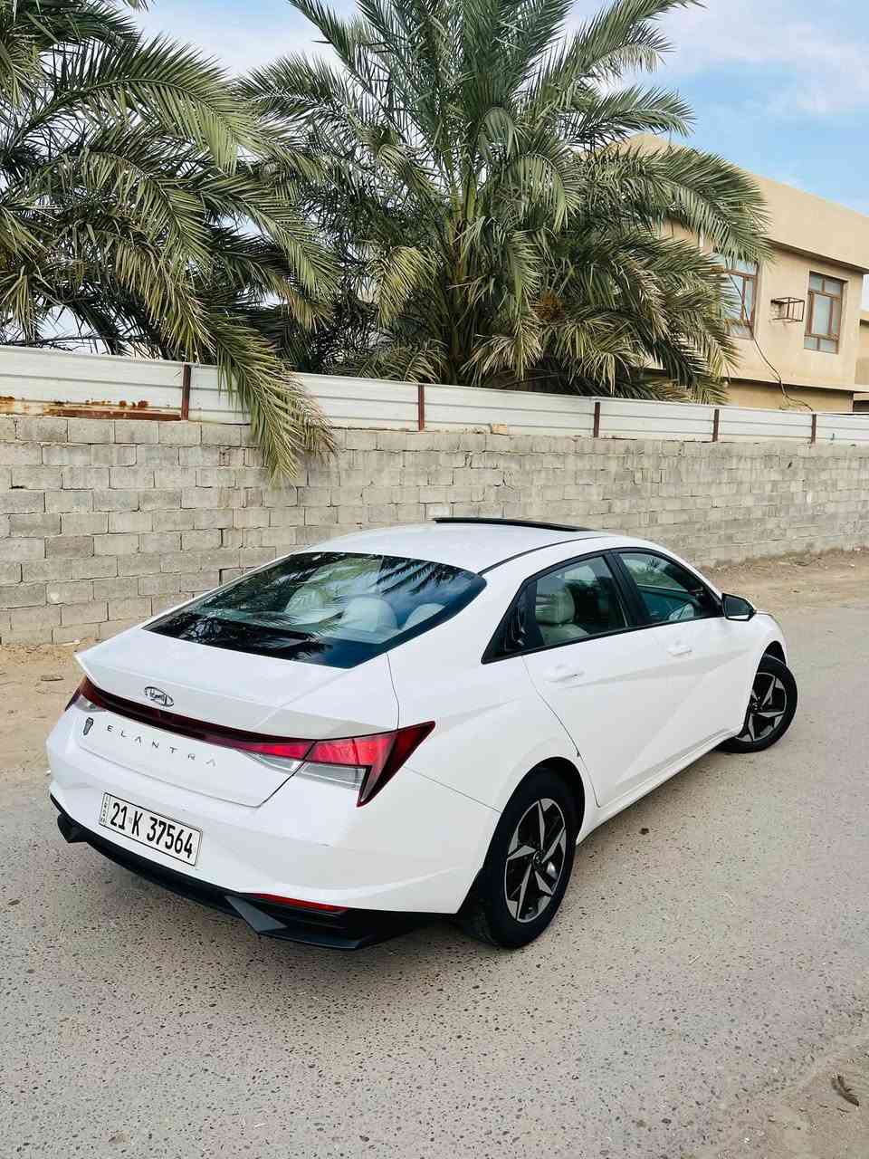 ألنترا ٢٠٢٣ • خليجي • بدون صبغ