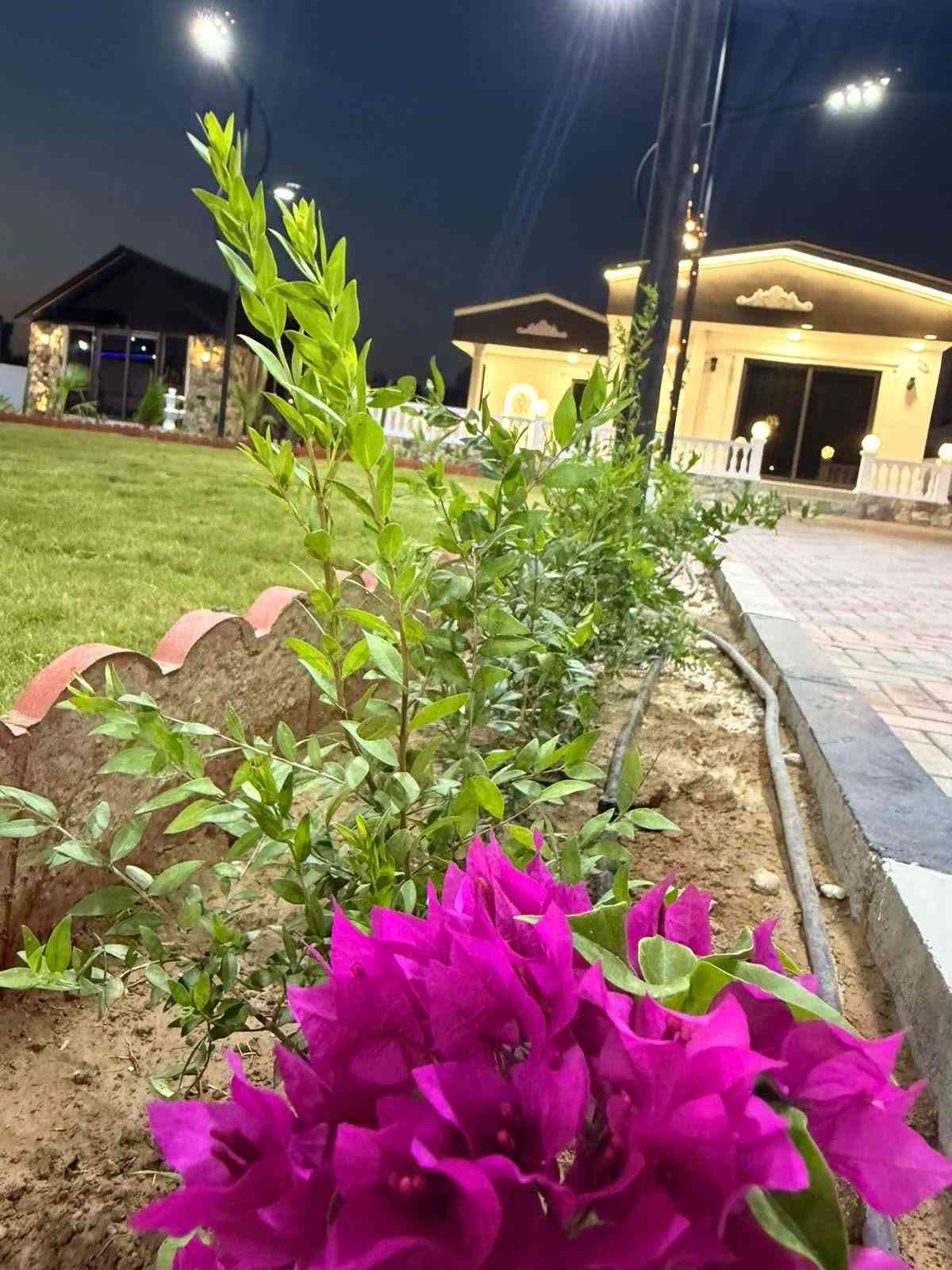 ايجار يومي • مسبح • شحن سيارات