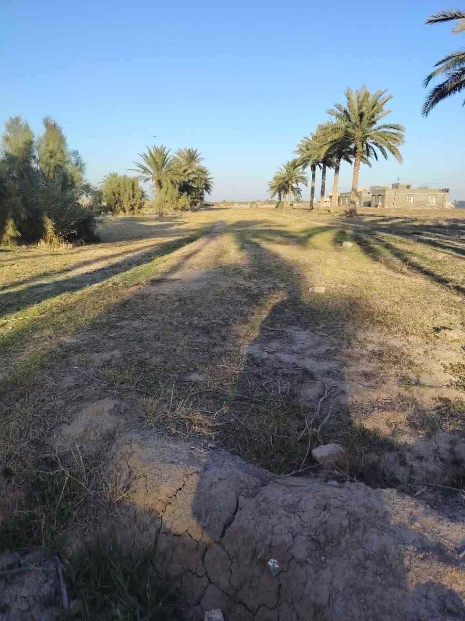 ارض زراعيه للبيع 2 دونم
الموقع طريق حله ديوانيه منطقة هوى الشام قرب معمل الغاز 
خدمات كامله من مي وكهرباء وتبليط 
ومدارس ابتدائي ومتوسطه واعداديه 
للاستفسار الاتصال ع الارقام التاليه 
***********/***********
