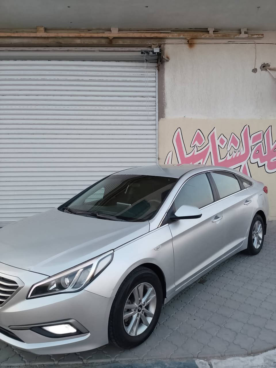 ٢٠١٨ • مكينة الفين • كشنات جلد