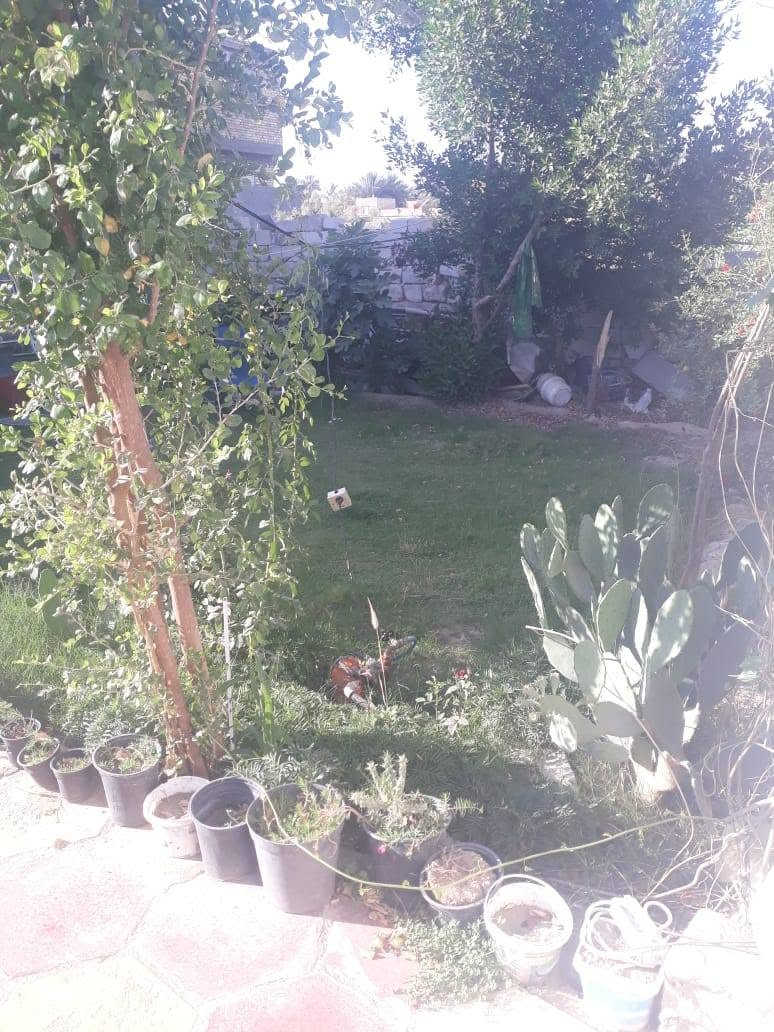 دار للبيع طابو زراعي سند 25
مساحة 200م
يحتوي على غرفتين نوم
كلدور ومطبخ
بناء بلوك السقف عگادة
السعر 40 وبيه مجال
الموقع///وردية داخل خلف مدرسة مالك الاشتر
للاستفسار الاتصال على الرقم

***********

