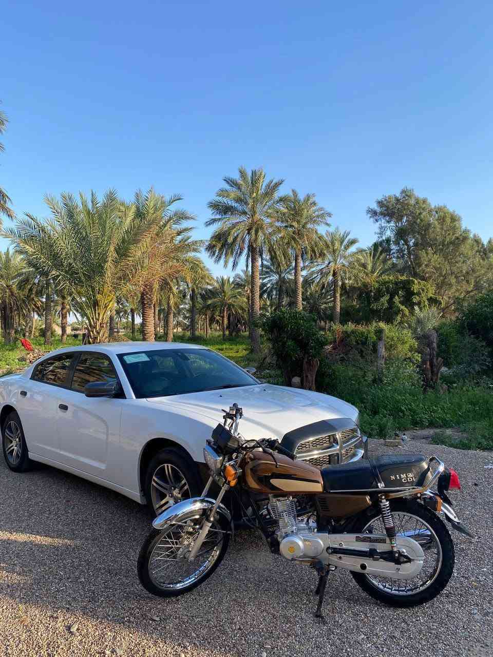 للبيع نامه ٢١ مكفوله مامفتوحه ابد كلك بدون أوراق كامله ونضيفه مكاني ميسان علي الشرقي سعر (550)وبي مجال بسيط
***********
بي واتس اب
