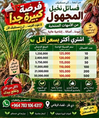 الرفاعي • نهر الغراف ٥٠م • نخيل وفسائل
