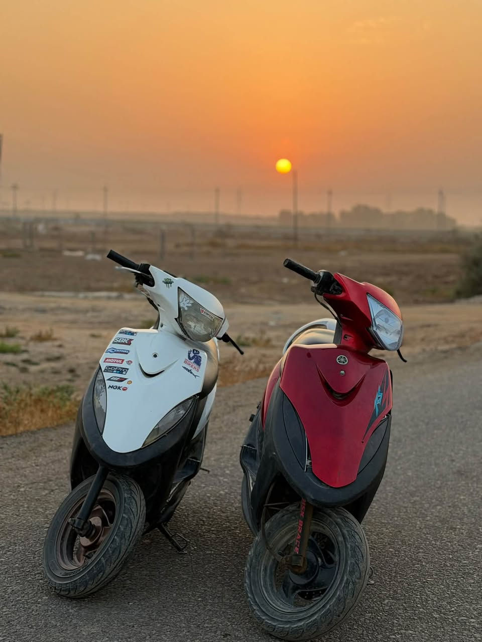 ماكس • نضيف • بوشته