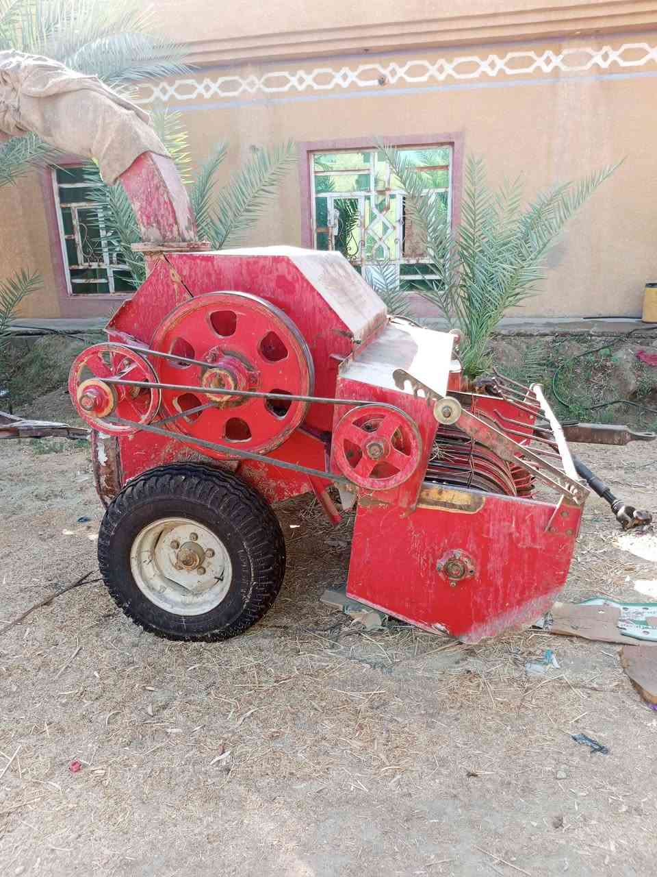 عنتر • زيتور