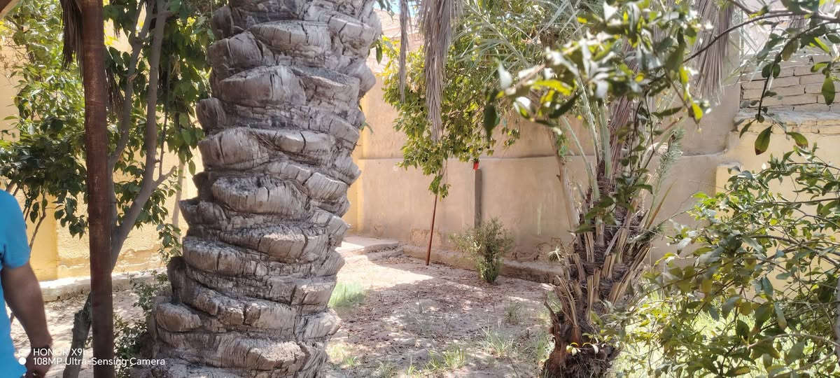 بابل حله • ٢٤٠م • ملك صرف
