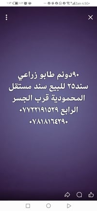 المحمودية • ٩٠ دونم • طابو زراعي