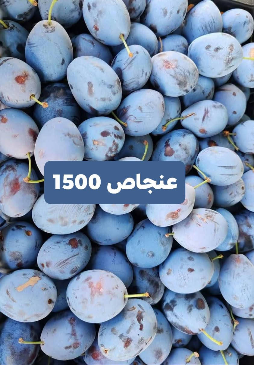 الفلوجة الجغيفي الثانية • توصيل مجاني • خضار وفاكهة