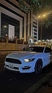 موستانغ • ٢٠١٥ • سنوية ٢٠٣١