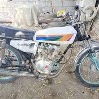 ارشة • اوراق • موديل ١٩