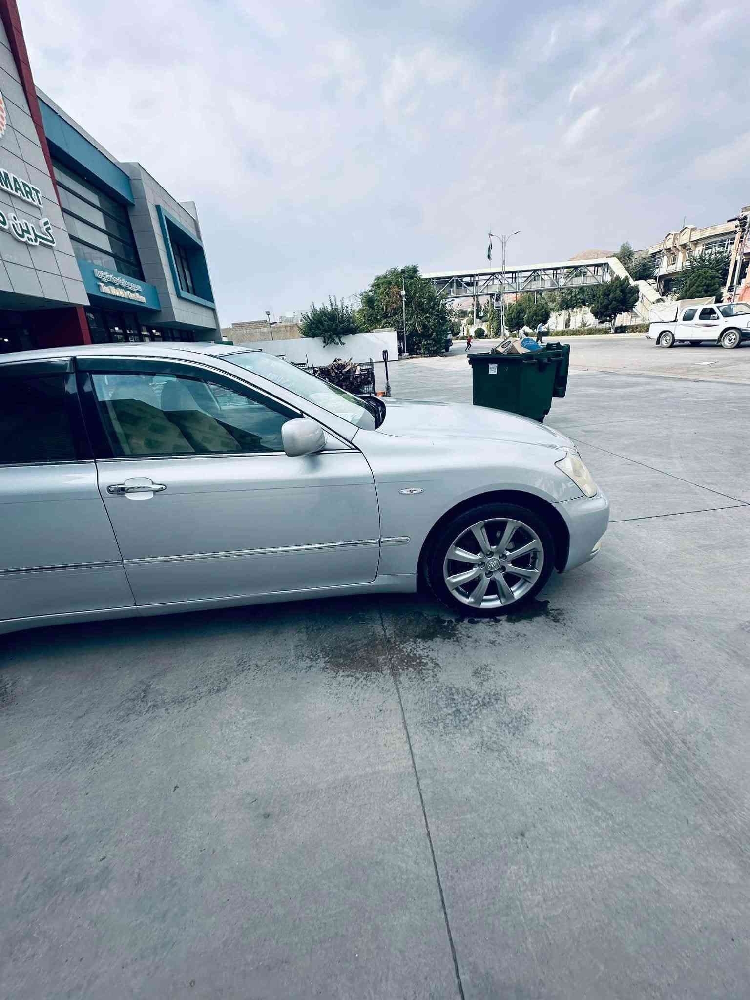 شاهین • ٢٠٠٧ • حالة زينة