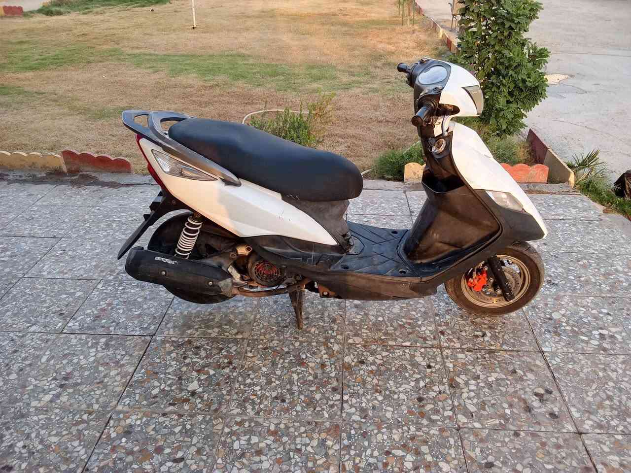 سلام عليكم ماكس ثعلب للبيع سعر550 وبيها مجال رقم الهاتف ***********
