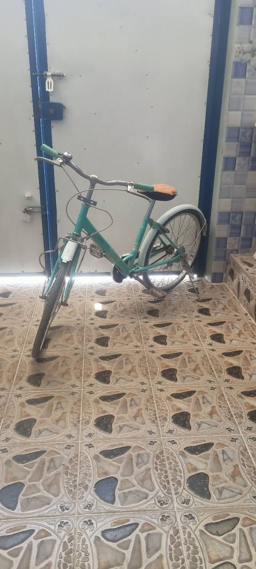 السعر 55
رقم الهاتف 
***********
