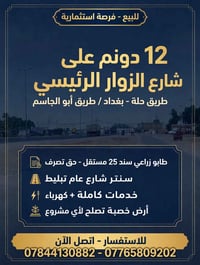 طريق حلة • ١٢ دونم • طابو زراعي