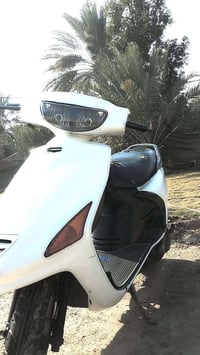 فراشه • نضيف • مسيب