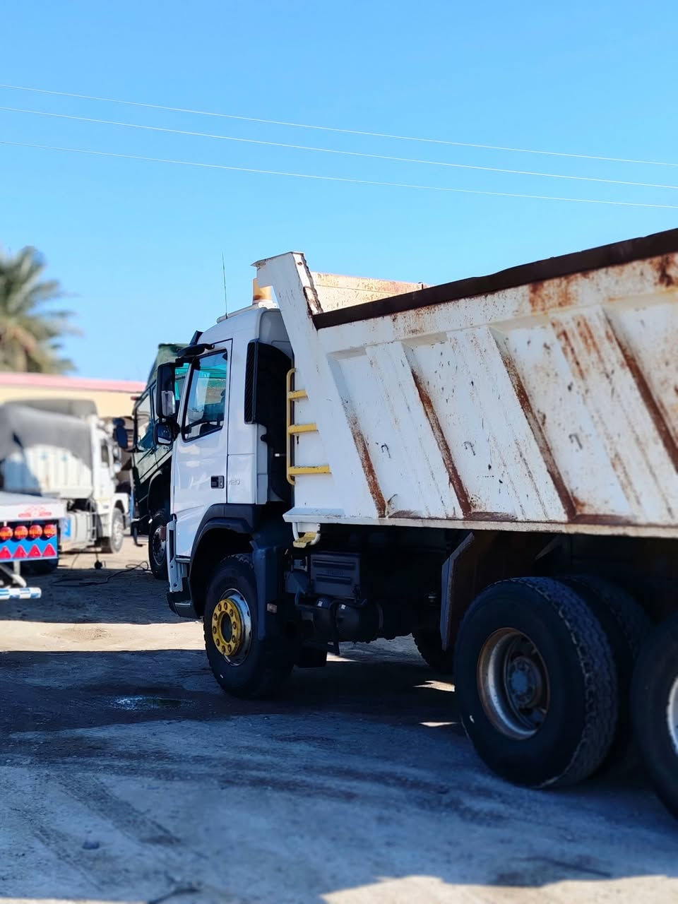 فالفو شيطان • ٢٠٠٤ • ذراع ١٦م