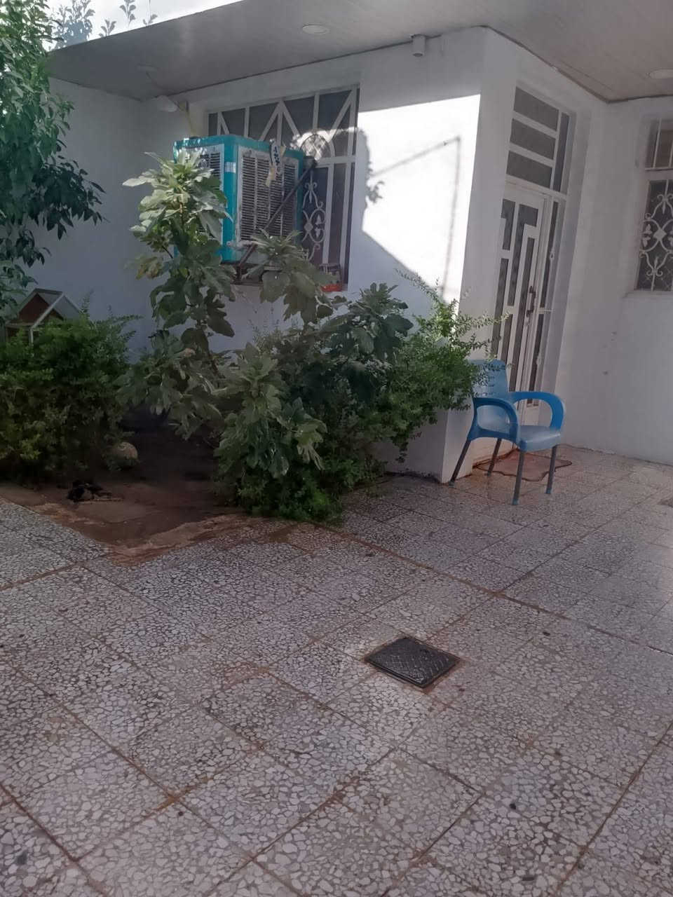 دار للبيع 140متر بناء طابوق صبة كونكريت شارع المطار القديم قرب مدرسة انوار السجاد مجاور باب المطار الخروج القديمة يحتوي على غرفتين وصالة مفتوحة ع استقبال مطبخ مفتوح ع صالة نظام تركي مع مطبخ حار معزول للاستفسار التواصل ع الرقم *********** /*********** واتساب
