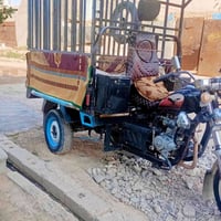 ستوته • منفيس • ابليته