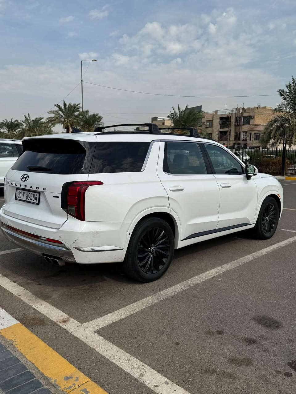 باليسايد • كاليجرافي • ٢٠٢٤