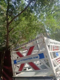 محجر فحل • جديد