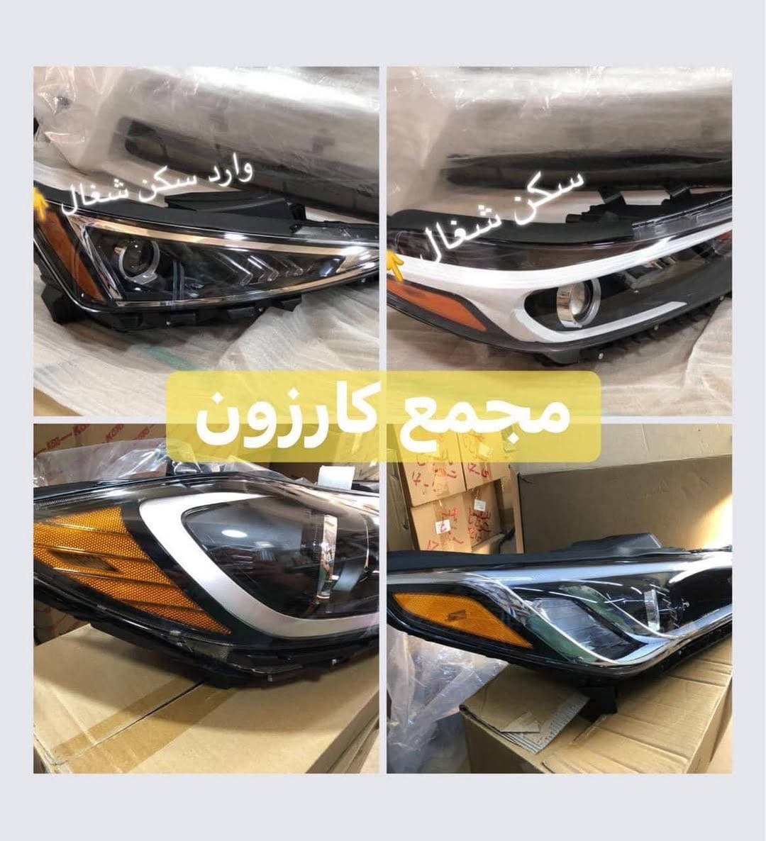 لايتات • دعاميات • مجمع كارزون