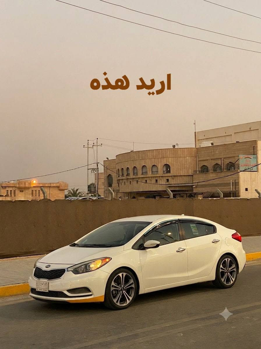 اصلي كوري • مختوم • تخم تاير