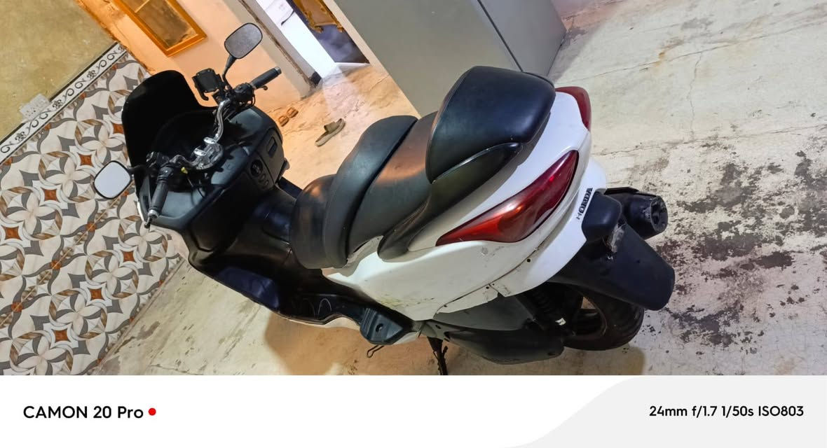 فورزه • كفاله • كله شغاله