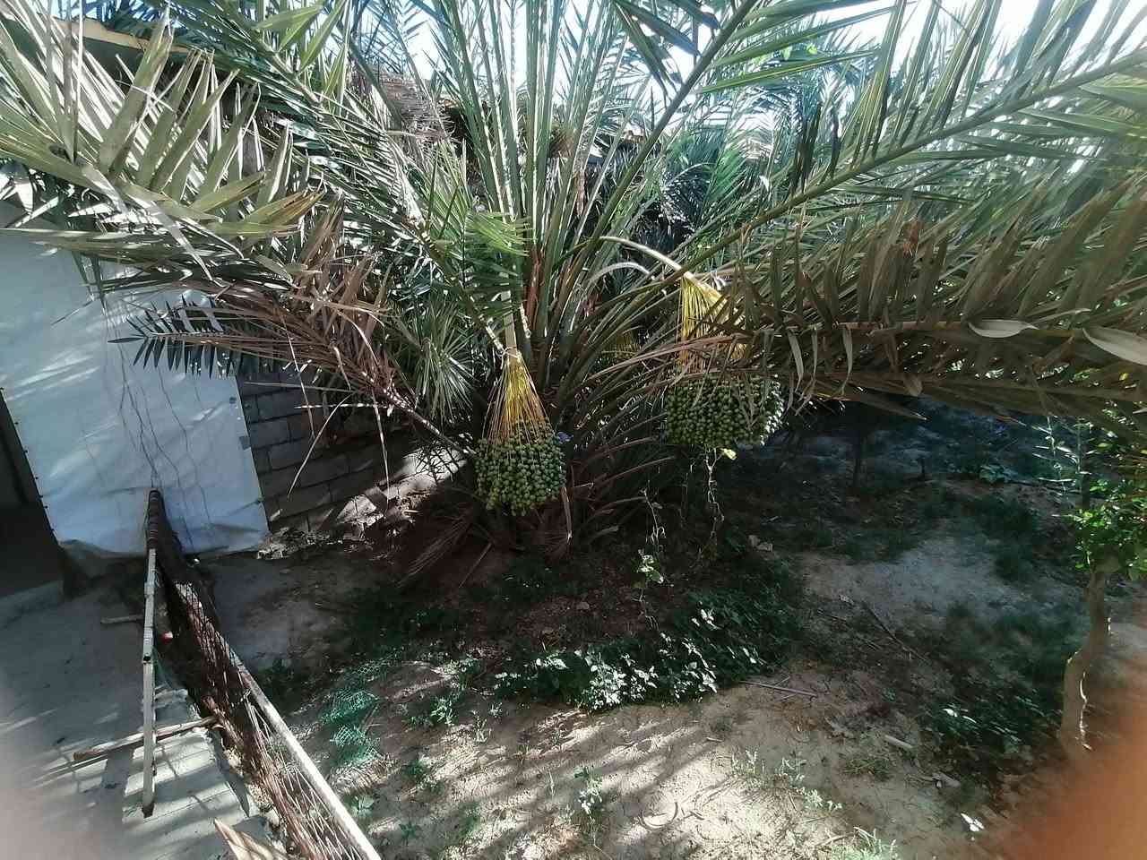 الهوير نزلة الهنبوش • ٦٥٠م • ٣غرف