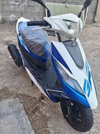 نحله دبلين • ١٥٠ • ٢٠٢١