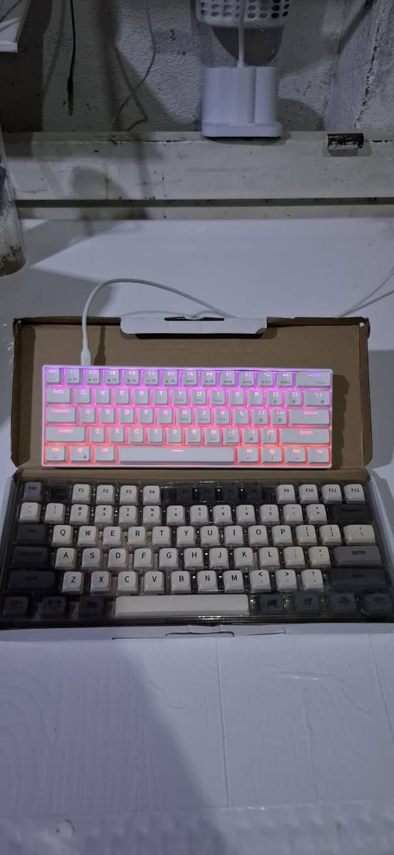 ​كيبورد الميكانيكي Royal Kludge RK61 ⌨️🔥
يدعم 3 وضعيات اتصال (وايرلس، بلوتوث، ودنجل).
الملحقات كاملة، ويجي وياها سيت أزرار (Keycaps) إضافي بلون مختلف لتغيير الشكل على ذوقك!
​للطلب أو الاستفسار مراسلة الصفحة أو التواصل:
​واتساب: ***********
